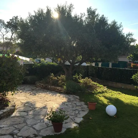 Entre Olivier Et Mimosa Saint-Cyr-sur-Mer